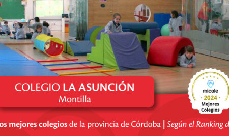 Somos uno de los mejores colegios de la provincia de Córdoba según el ranking Micole